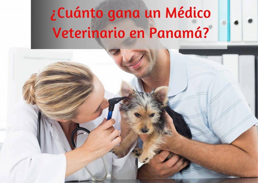 Cuanto Gana Un Medico En Ucrania