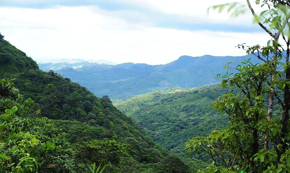 Parque Nacional Omar Torrijos Coclé Panamá