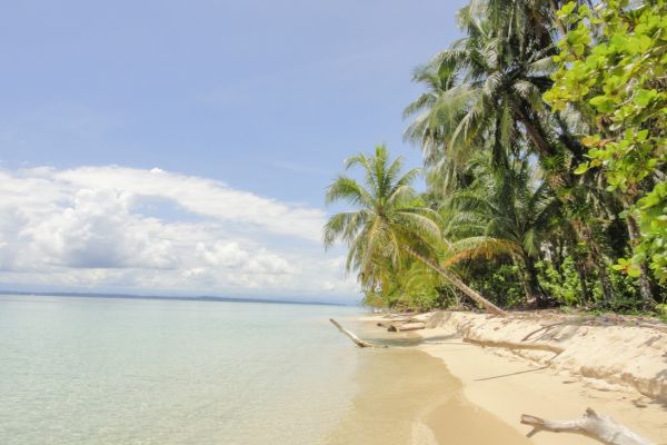 Isla Perro Grande Panamá